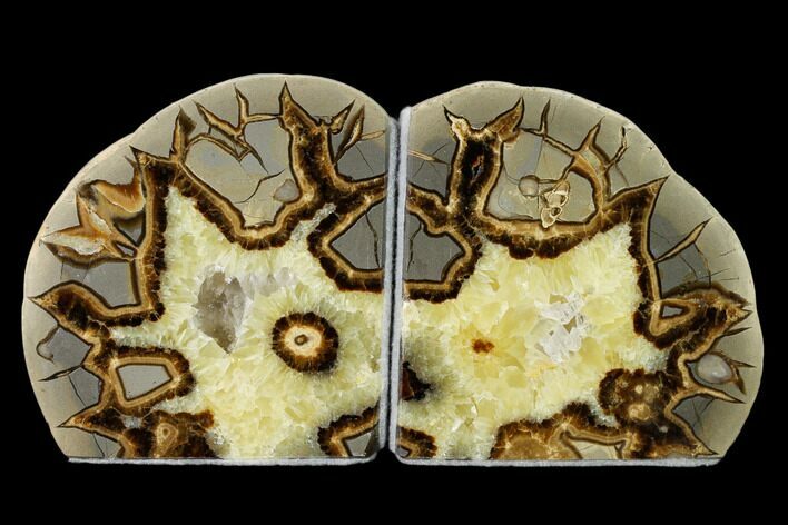 Calcite Filled Septarian Bookends - Utah #149915